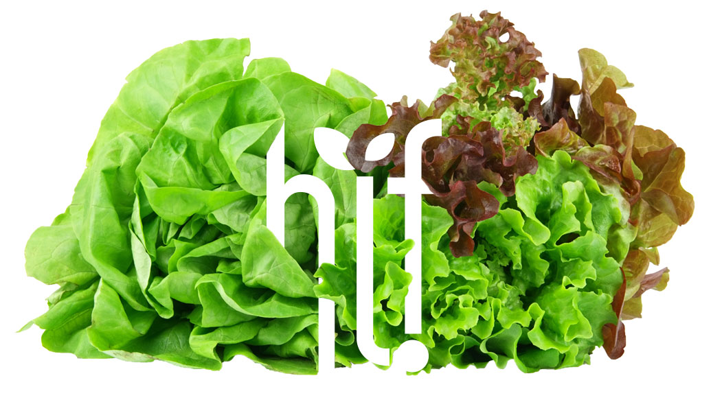 Horticultural Industry Forum