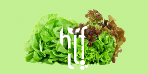 HIF Horticulture Industry Forum Ireland