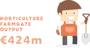 HIF Horticulture Industry Forum Ireland information and statistics Horticulture Farmgate Output