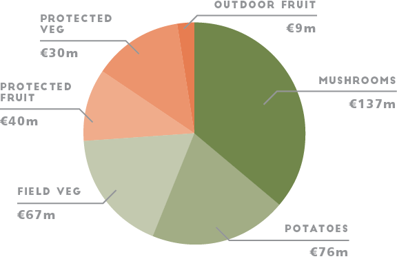 HIF Horticulture Industry Forum Ireland information and statistics